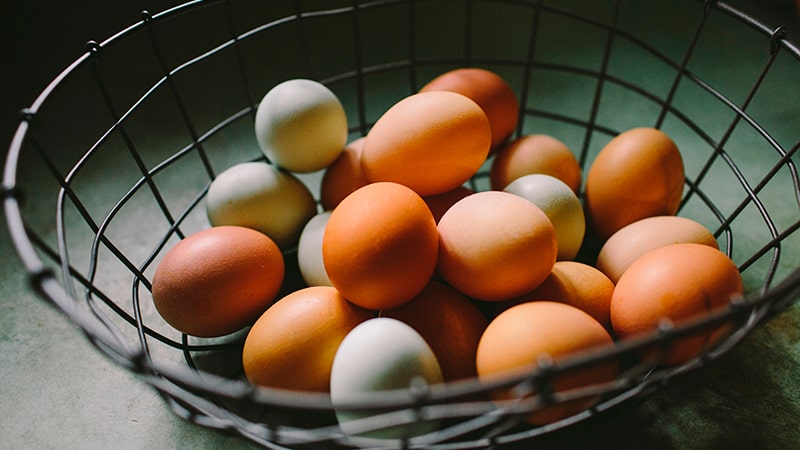 Eggs, protein source and collagen producer